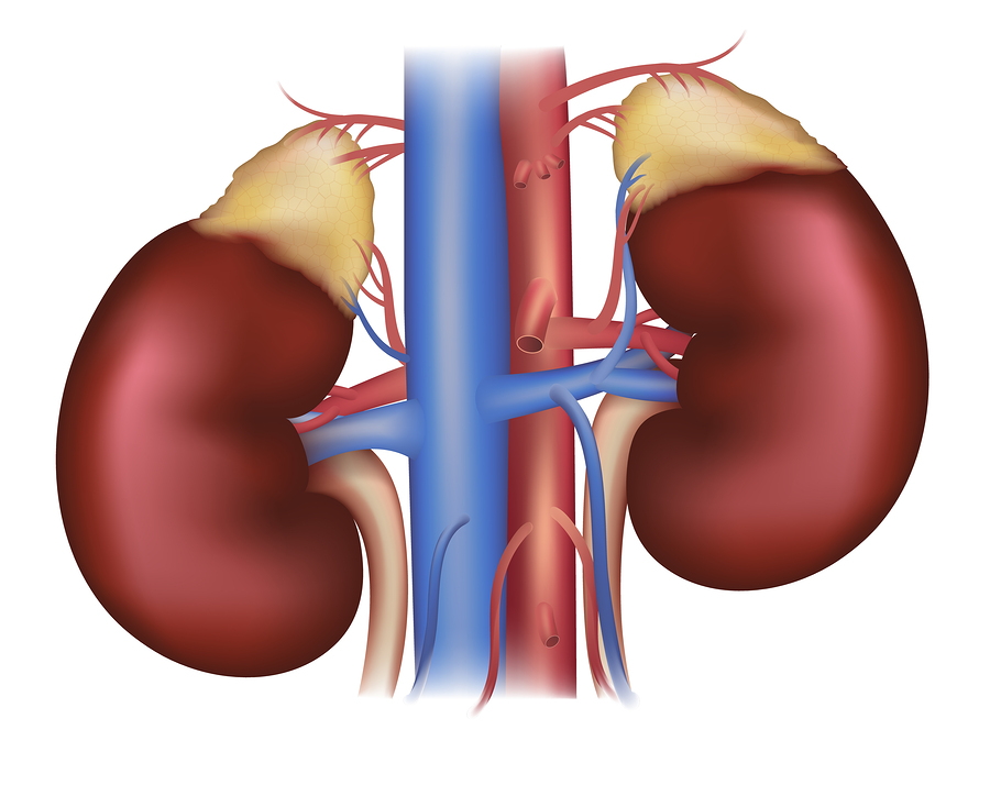 Clinical Trials for Diabeties